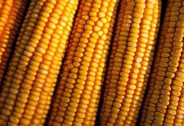 Similar image 7585677