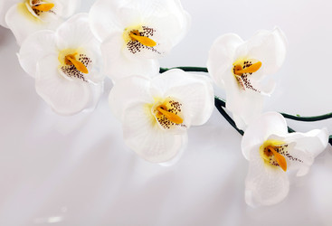 Similar image 7585700