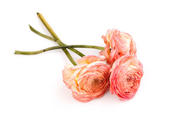 Similar image 7585716