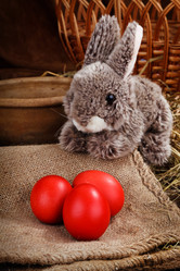 Similar image 7585822