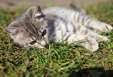 Similar image 7585847