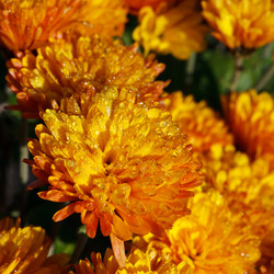 Similar image 7585849