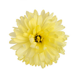 Similar image 7585854