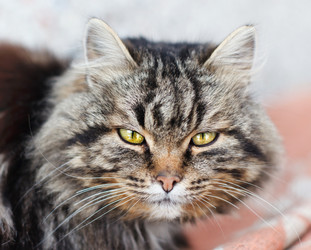 Similar image 7585863