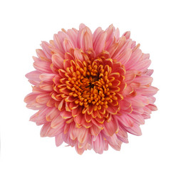 Similar image 7585865