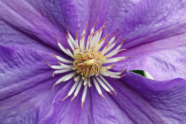 Similar image 7585866