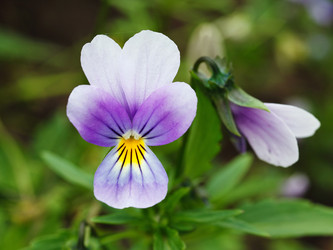 Similar image 7585874