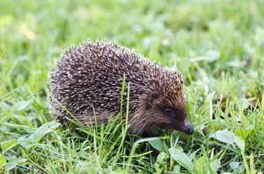 Similar image 7585877