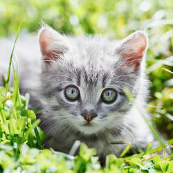 Similar image 7585883