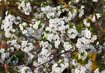 Similar image 7585946