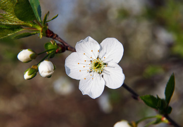 Similar image 7585948