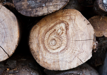 Similar image 7585952