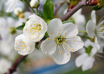 Similar image 7585994