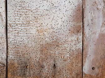 Similar image 7586008