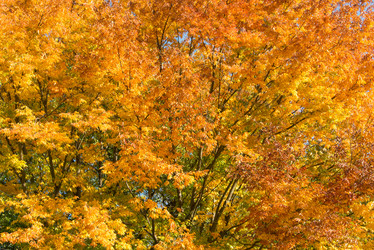 Similar image 7586365