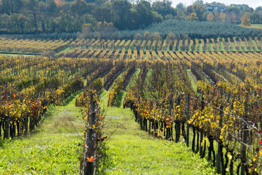 Similar image 7586427