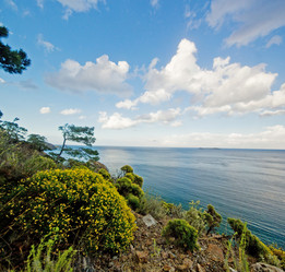 Similar image 7586727