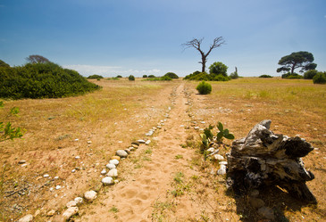 Similar image 7586732