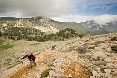 Similar image 7586733