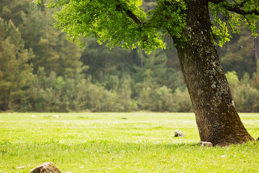 Similar image 7586738