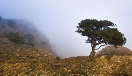 Similar image 7586746