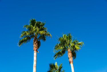 Similar image 7586923