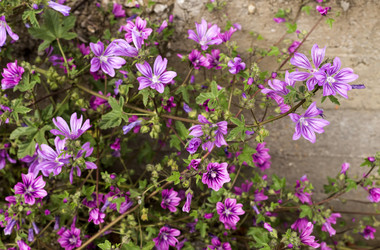 Similar image 7587098