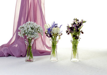 Similar image 7587103