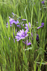 Similar image 7587104