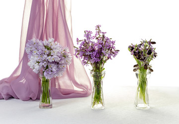 Similar image 7587105