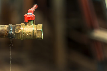 Similar image 7587113