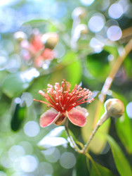 Similar image 7587129