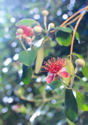 Similar image 7587130