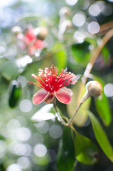 Similar image 7587131