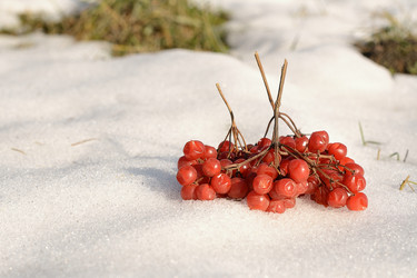 Similar image 7587134