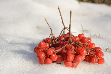 Similar image 7587135