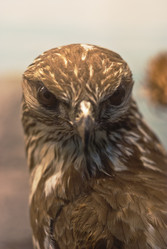 Similar image 7587700