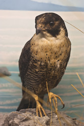 Similar image 7587714