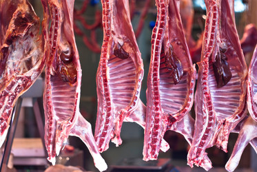 Similar image 7587739