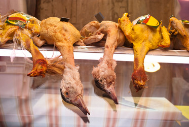 Similar image 7587786