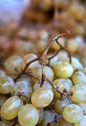 Similar image 7587845