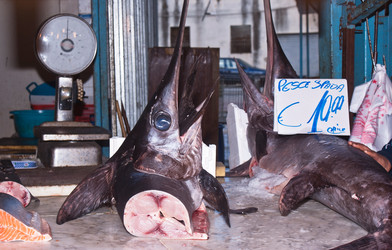 Similar image 7587877