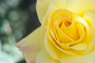 Similar image 7587914