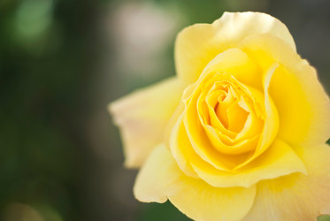 Similar image 7587915