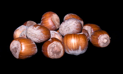 Similar image 7587928