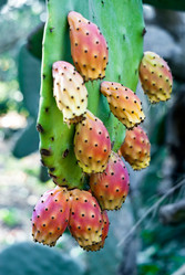 Similar image 7587957