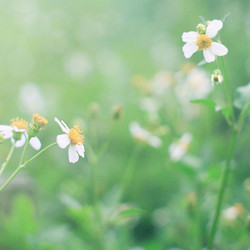 Similar image 7587992