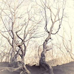 Similar image 7588000