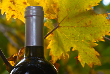 Similar image 7588014