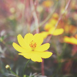 Similar image 7588031